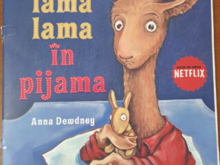 Lama Lama in pijama coperta
